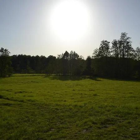 Domek Na Lace Holiday home *